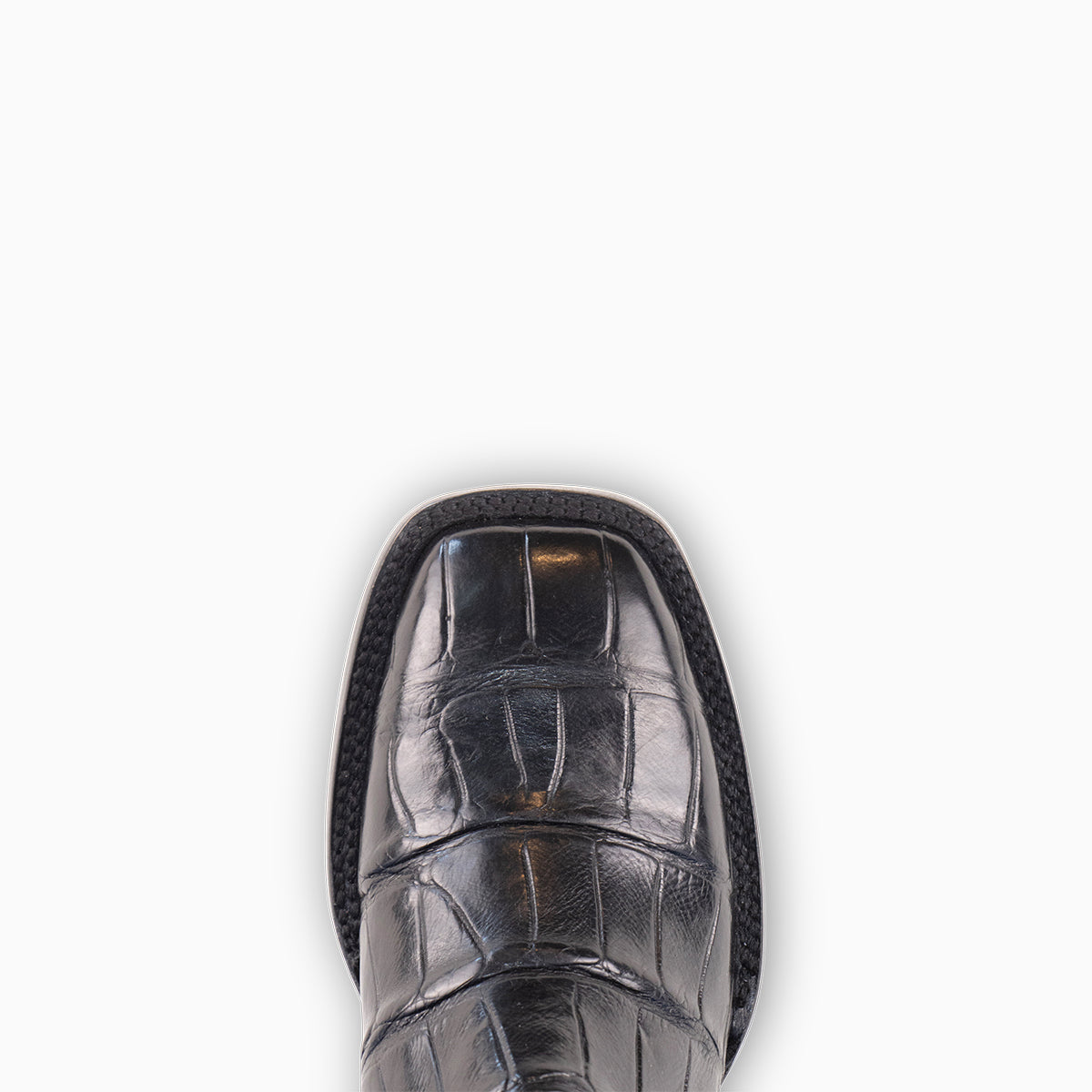 Black Alligator - Square – RESISTOL