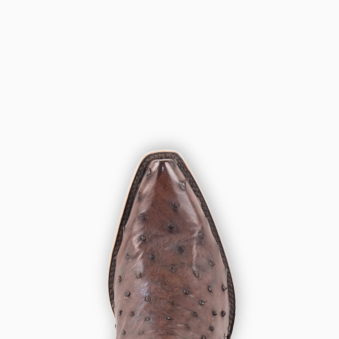 Brown Full Quill Ostrich - Women's Pointed - RESISTOL Cowboy Hats