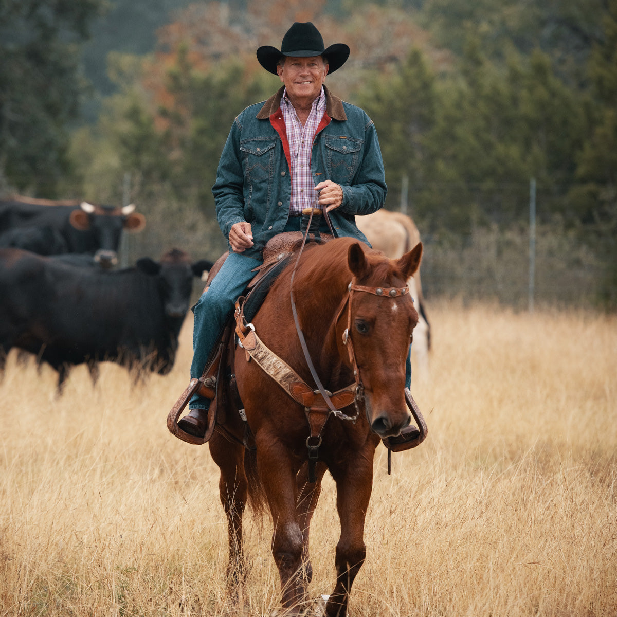 6X Logan George Strait Cowboy Hat