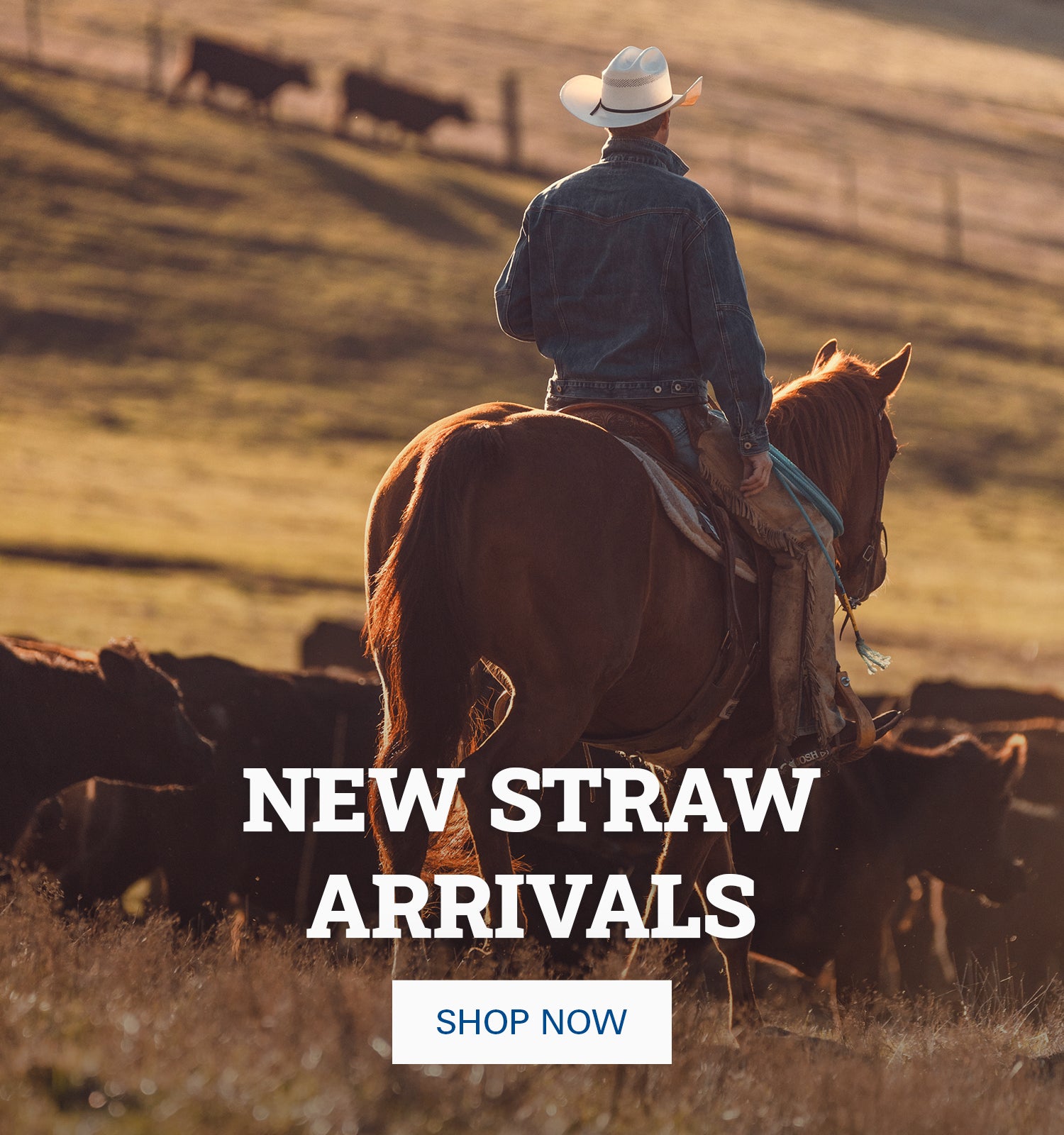 Resistol | Best All-Around Cowboy Hats | Straw, Felt & More! Resistol | Best All-Around Cowboy Hats | Straw, Felt & More!