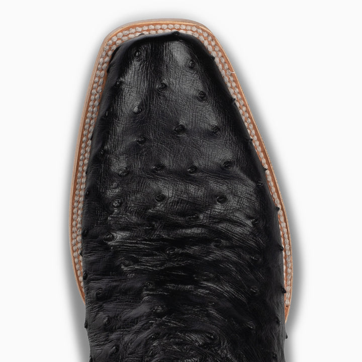 Black Full Quill Ostrich - Cutter - RESISTOL Cowboy Hats