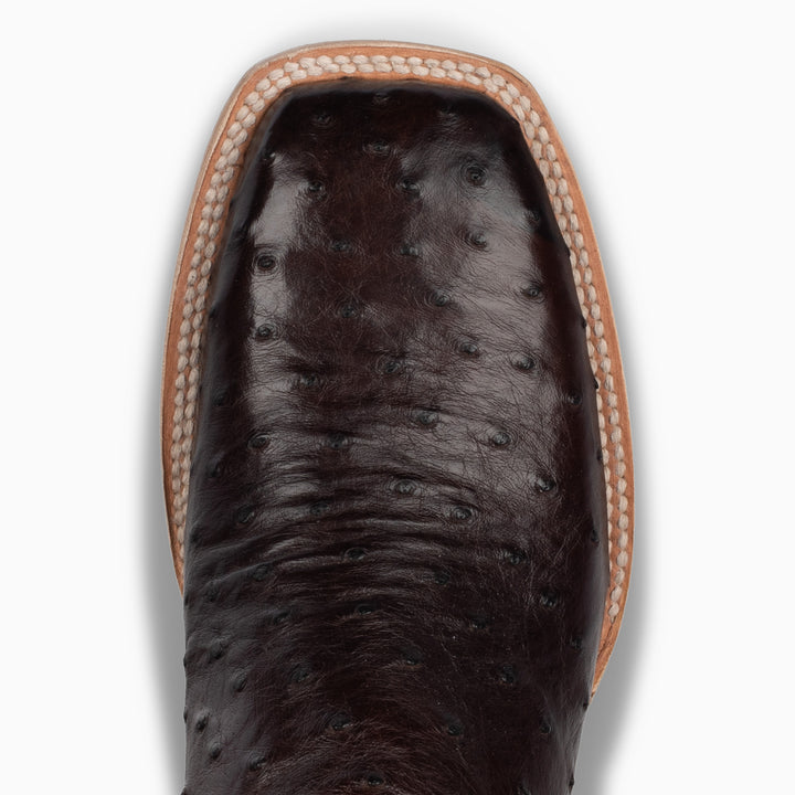 Nicotine Full Quill Ostrich - Square - RESISTOL Cowboy Hats