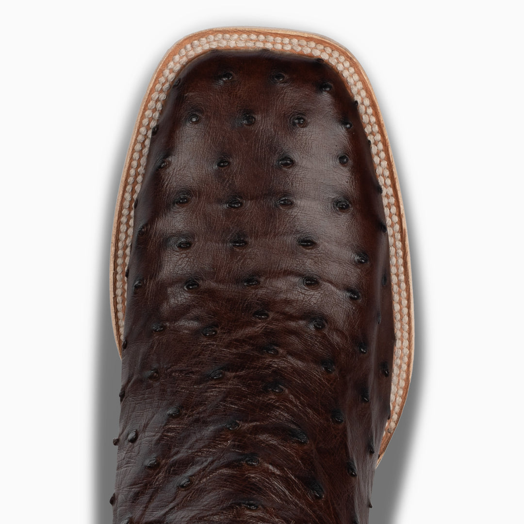 Sienna Full Quill Ostrich - Square - RESISTOL Cowboy Hats
