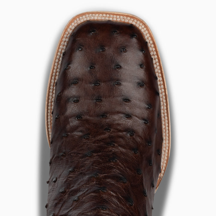Sienna Full Quill Ostrich - Square - RESISTOL Cowboy Hats