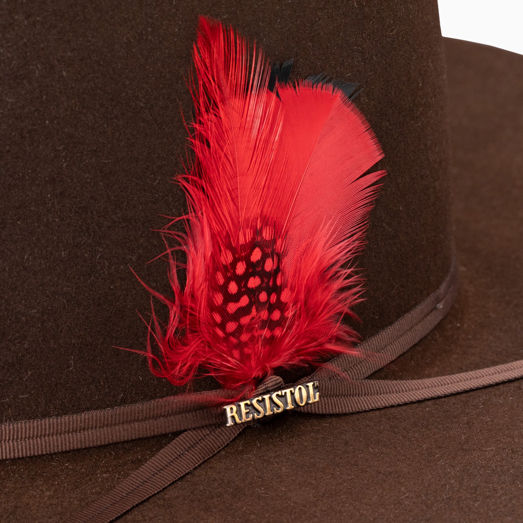 Resistol hat feather on sale