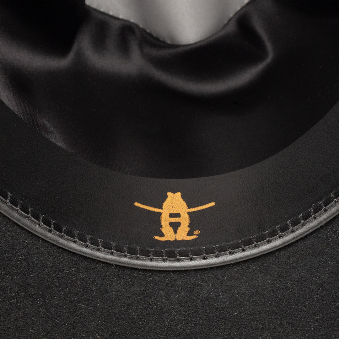 Rodeo Houston - Houston Rodeo Cowboy Hat - RESISTOL Cowboy Hats